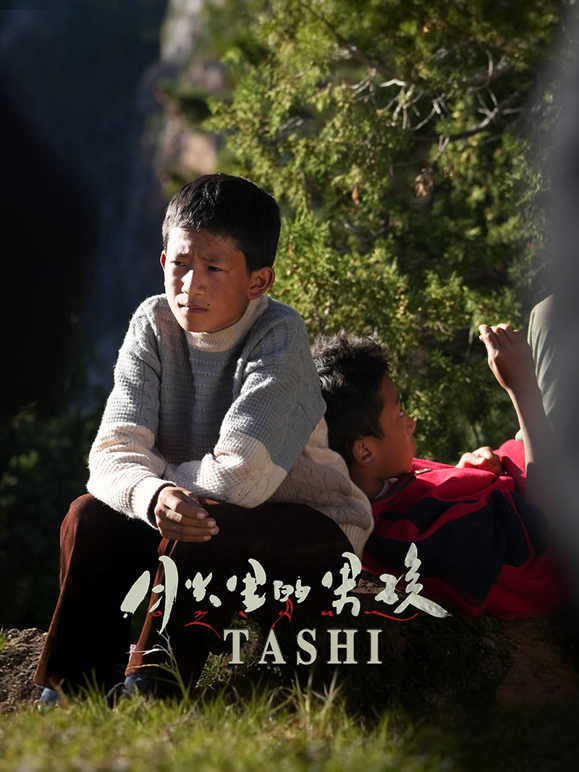 月光里的男孩封面图